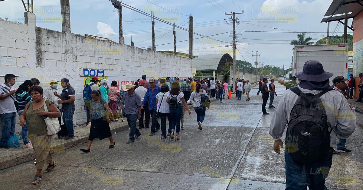 Simpatizantes de morena responden a elecciones
