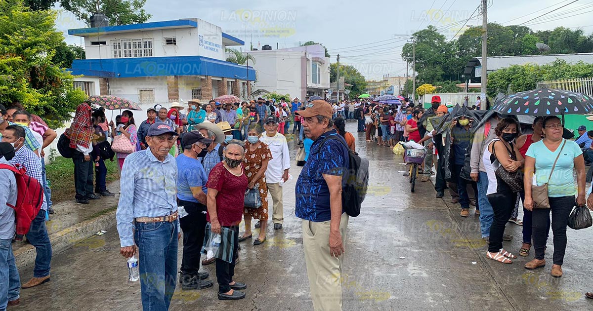 Simpatizantes de morena responden a elecciones