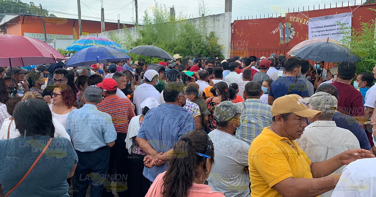 Simpatizantes de morena responden a elecciones