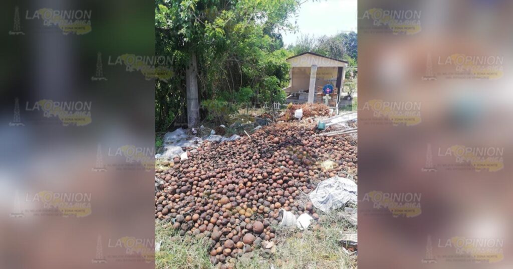 Urge la implementación de campañas de limpieza en los panteones de las comunidades