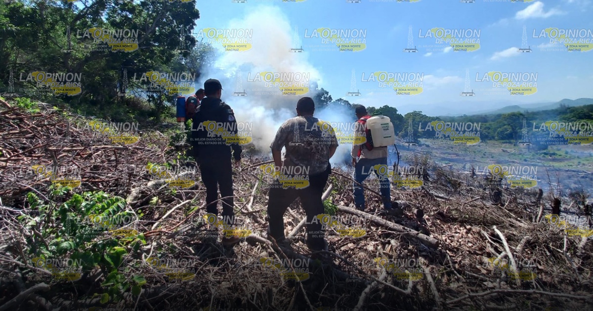 ¡Alarmante incendio en la Morelos! ¡Alarmante incendio en la Morelos!