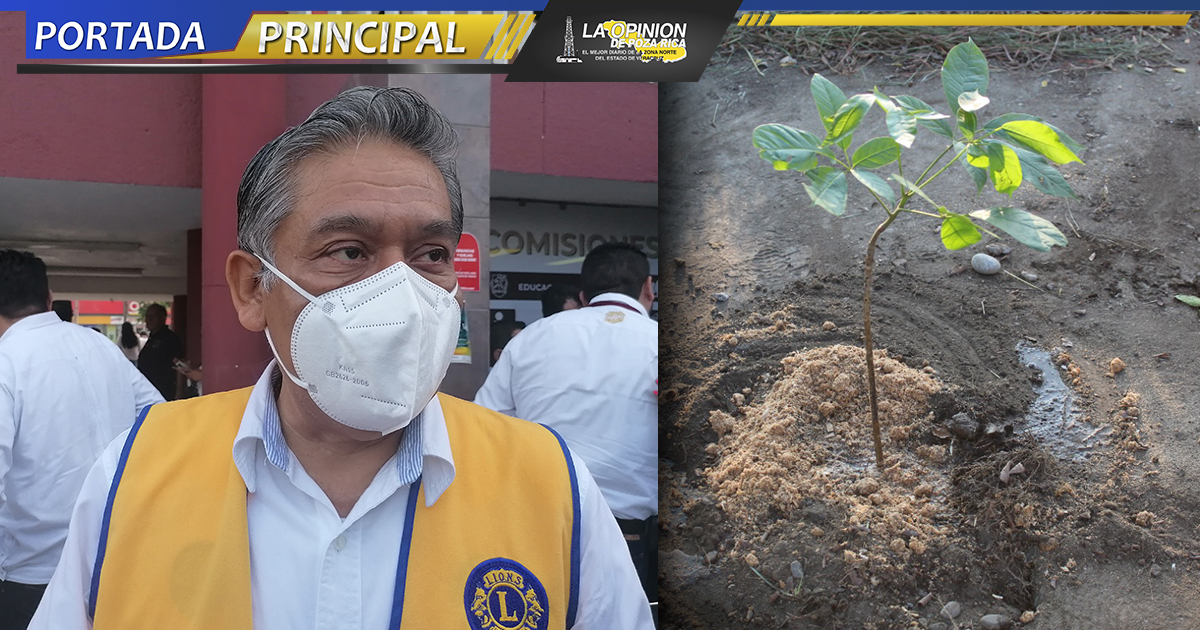 Protegerán el medio ambiente