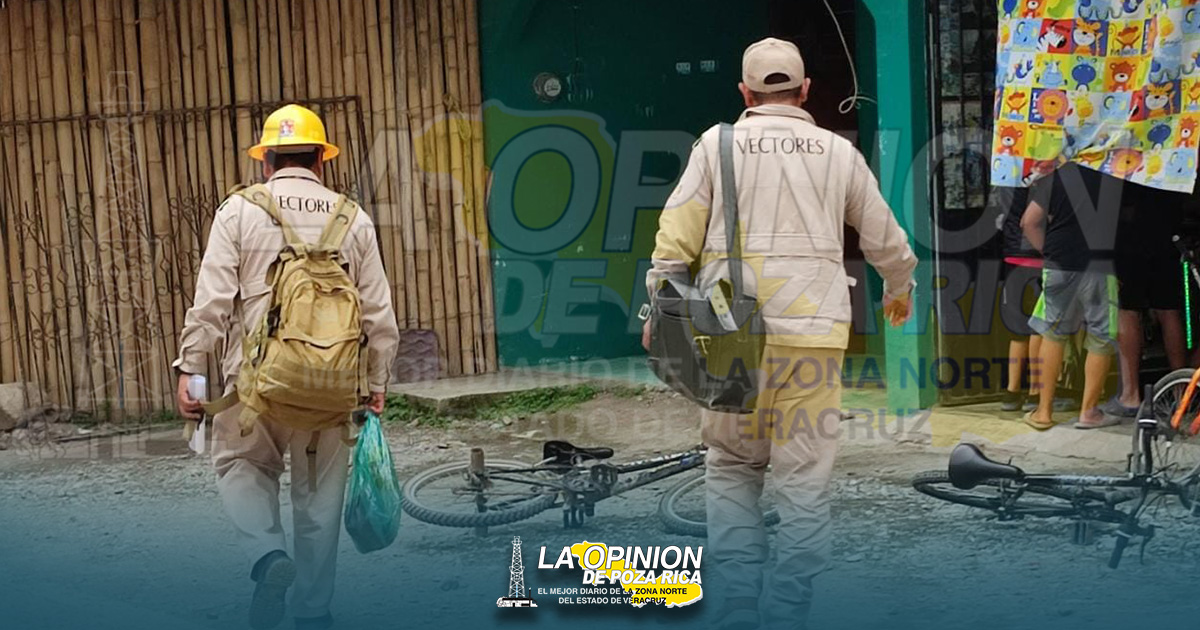 Autoridades de salud en alerta se registran casos positivos por dengue Autoridades de salud en alerta se registran casos positivos por dengue