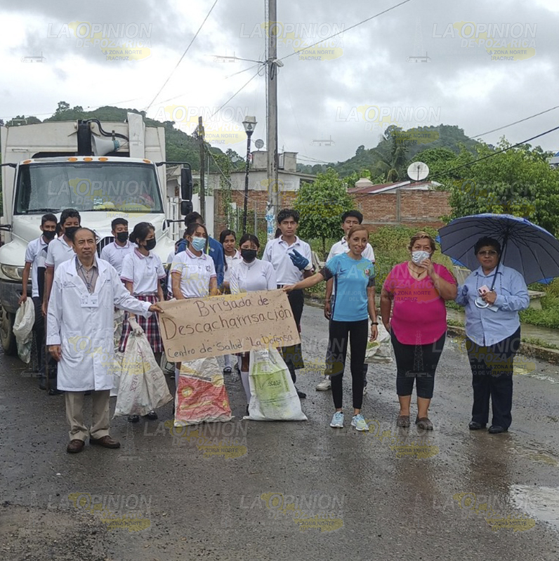 Temen brotes de dengue