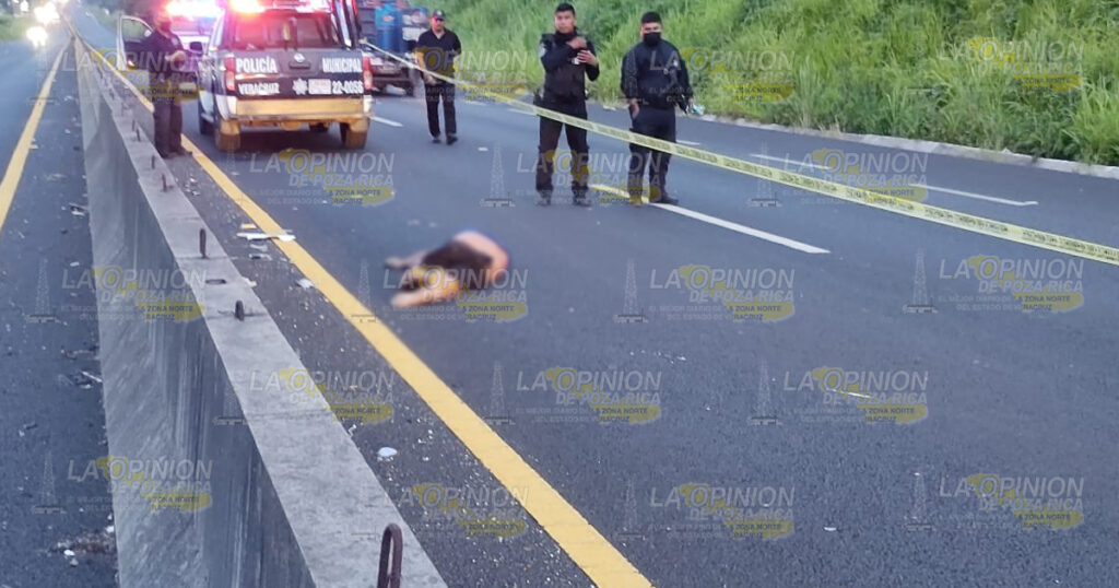 Atropellan y matan “Al Musculito” en carretera 180