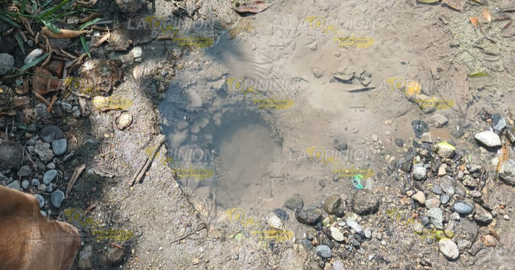 Vil desperdicio de agua por culpa de CAEV en Cazones