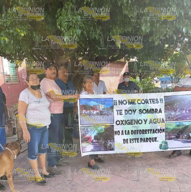 Protestan por deforestación del parque