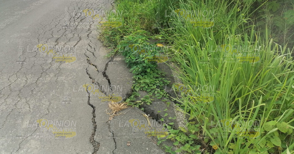 Podría colapsar un tramo de la carretera a Palma Sola