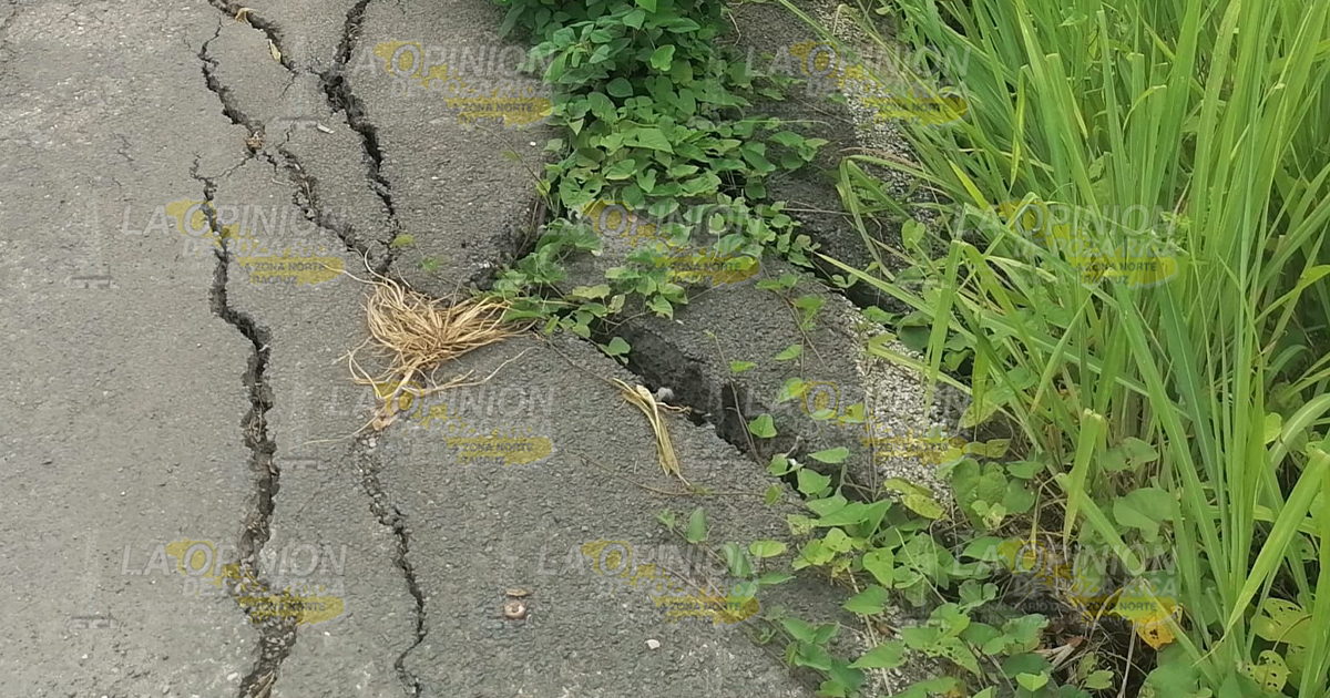 Podría colapsar un tramo de la carretera a Palma Sola
