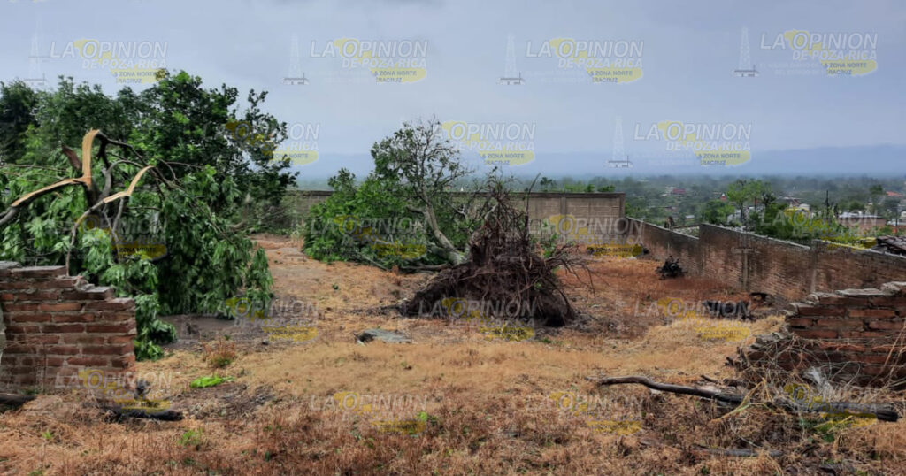 Productores recibirán apoyos del gobierno