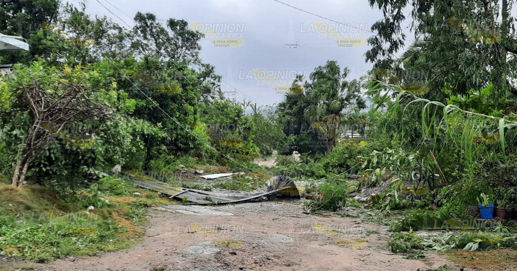 Productores recibirán apoyos del gobierno