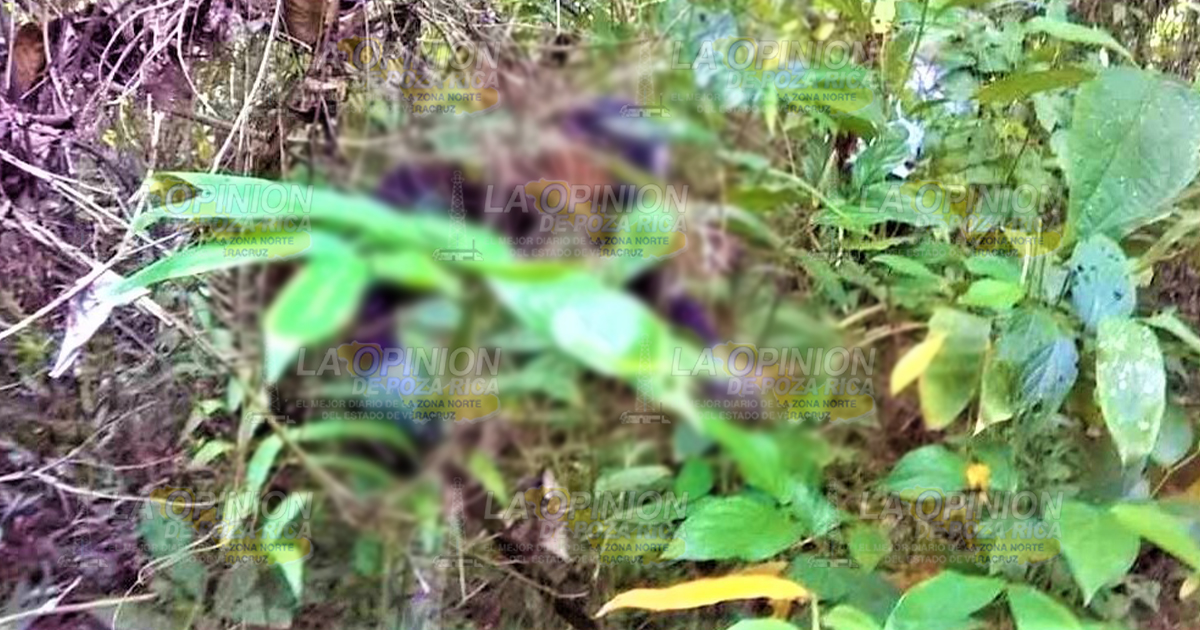 Hallan huesos humanos en la Pantepec-Carranza