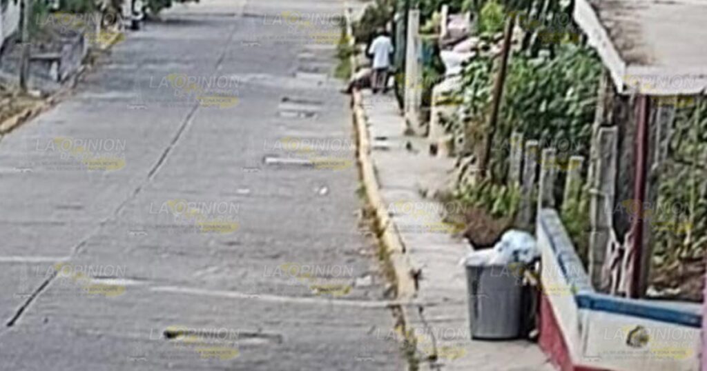 Ayuntamiento de Cazones procura tener las calles sucias y no envía el camión recolector