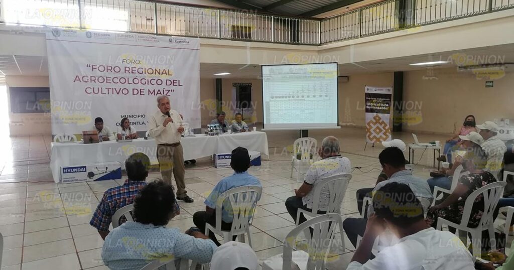 Interesante foro regional agroecológico del cultivo de maíz, en Coatzintla
