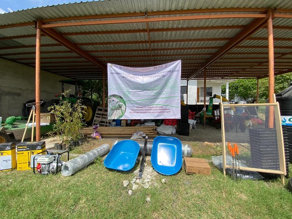 Les recomiendan sembrar árboles a ganaderos de la ZN