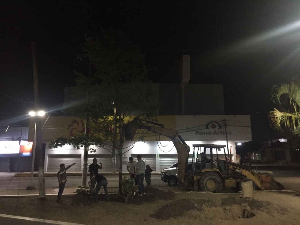 Nuevos árboles al Parque 1º. de Mayo