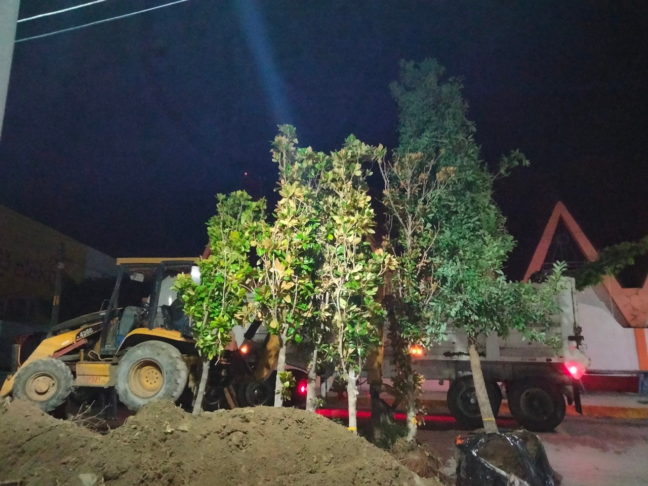 Nuevos árboles al Parque 1º. de Mayo