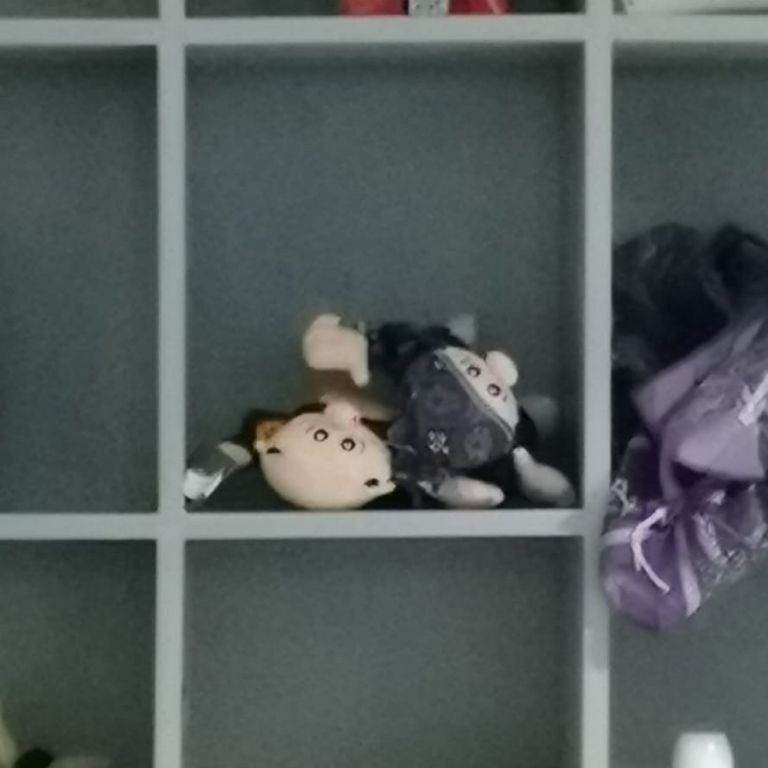 'Decomisan' más de 40 Dr. Simi antes de concierto de Big Time Rush en Guadalajara