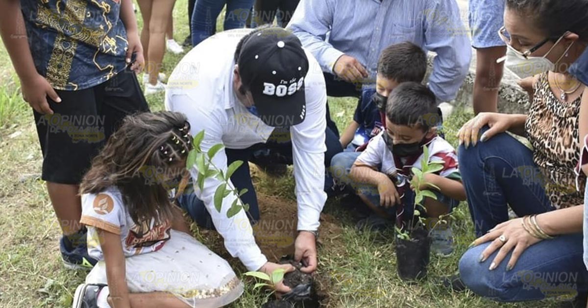 A plantar árboles en todos los espacios A plantar árboles en todos los espacios