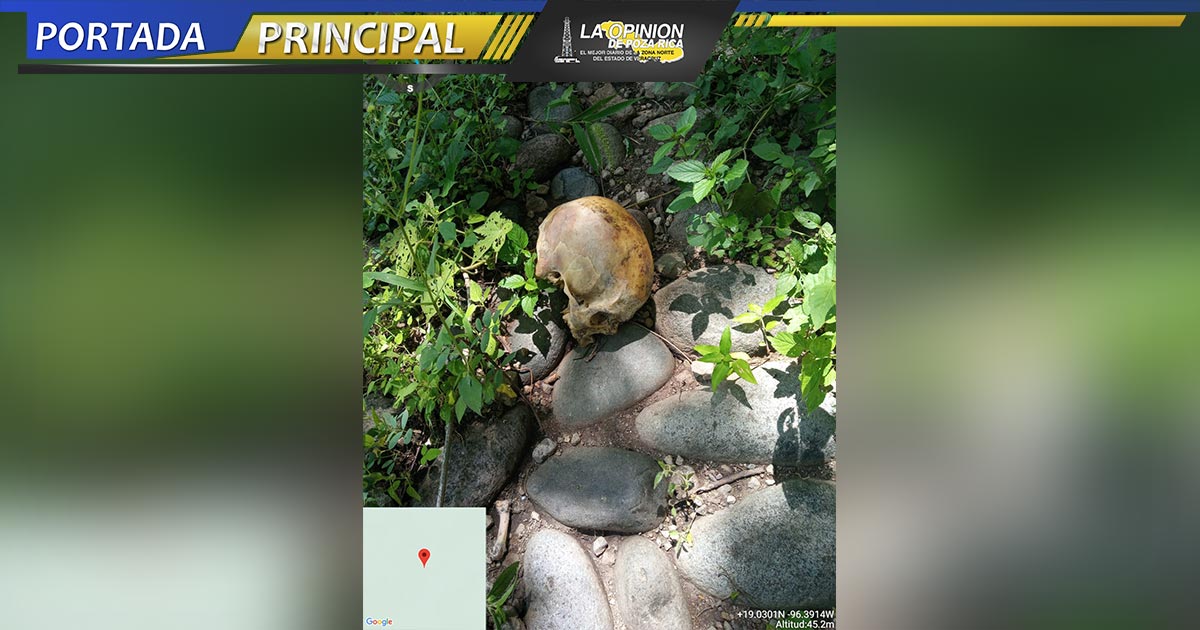 Encuentran osamenta en parcela ejidal