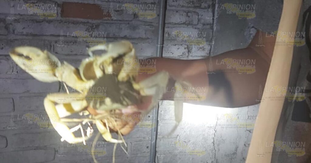 Pondrán en marcha campaña Tu Cuaderno Cuenta,