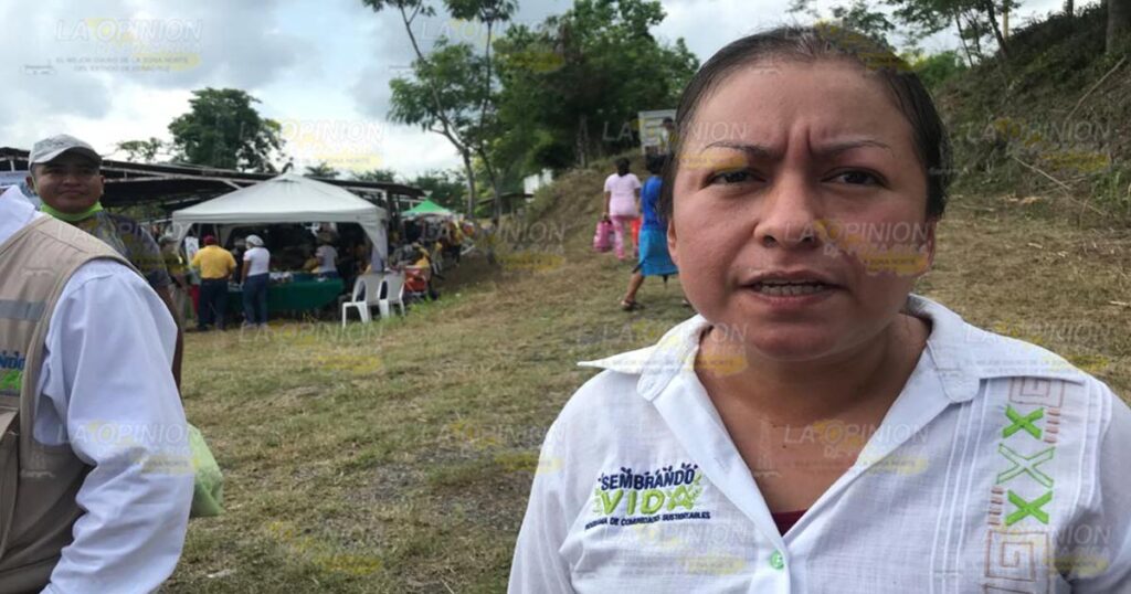 Van por sustento y empleo en el campo