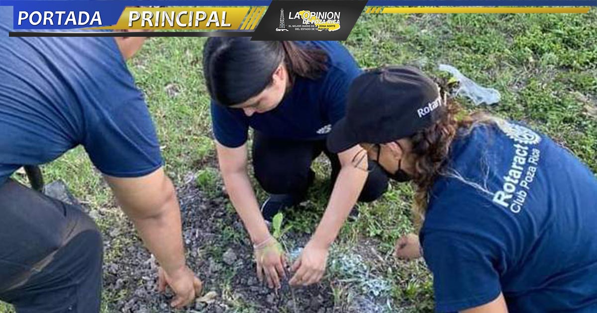 Reforestan el municipio