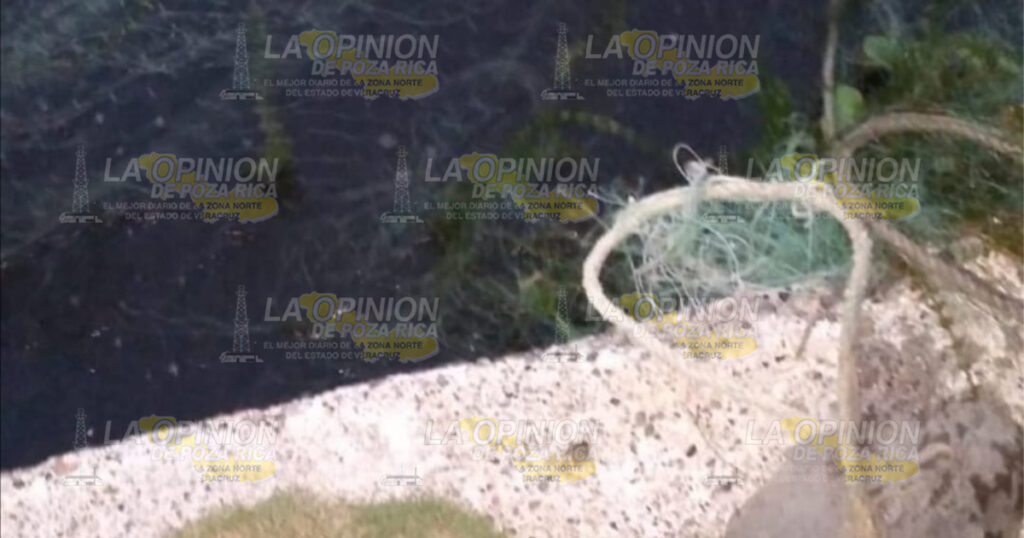 Criminal matanza de cangrejo azul en playas y esteros de Cazones