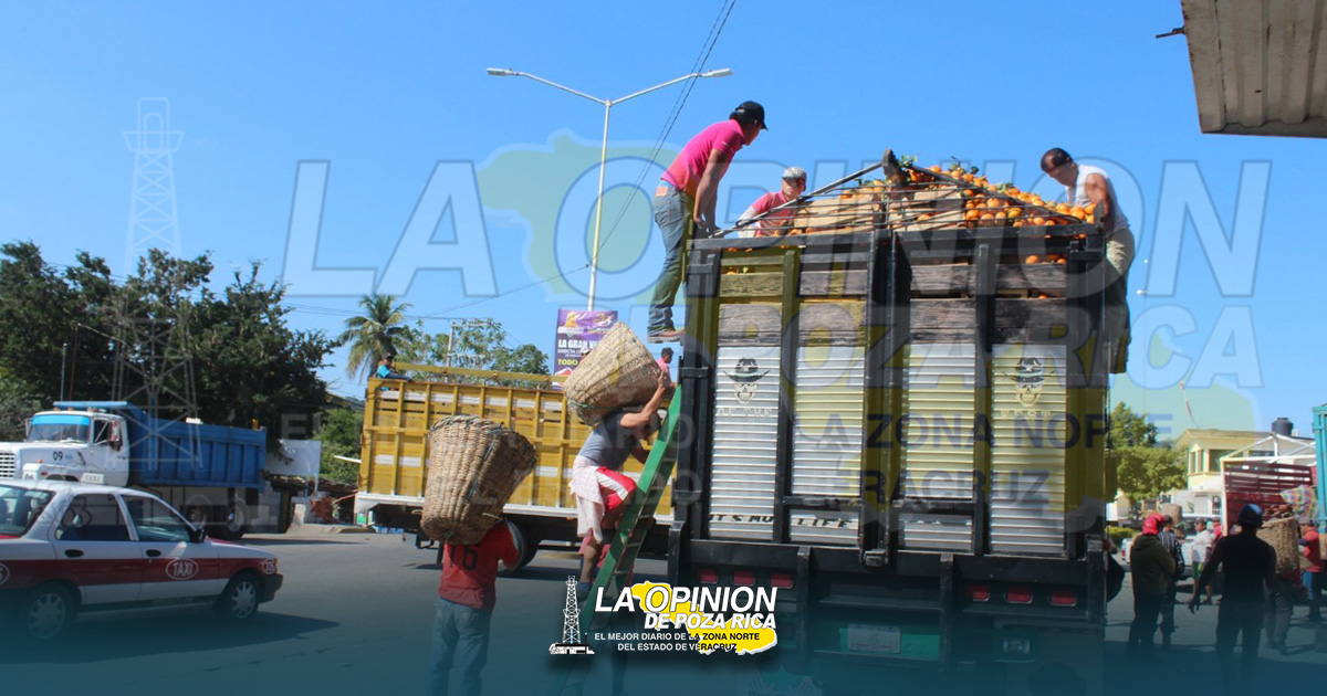 Citricultores piden instalación de juguera