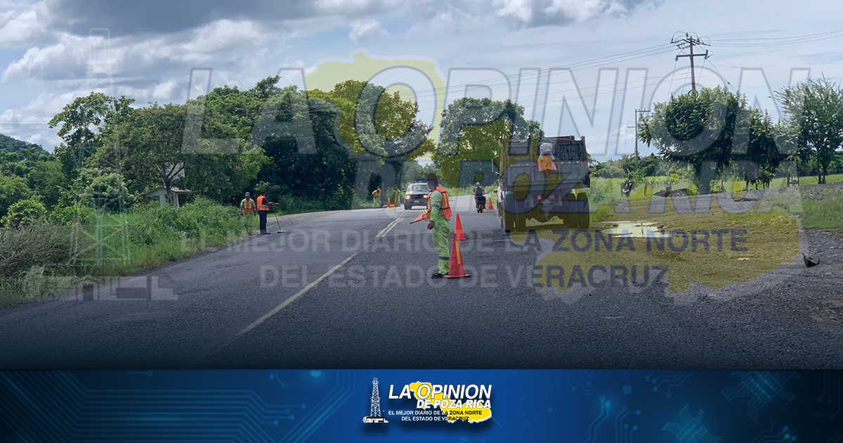 Dan manita de gato a carretera federal 127