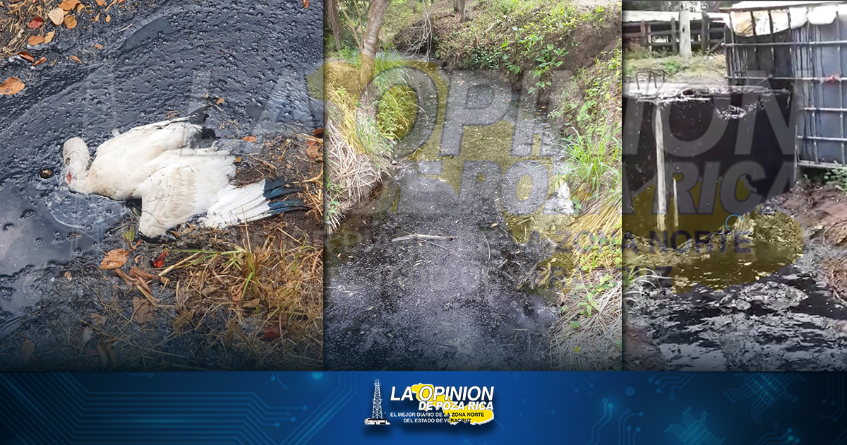 Denuncian ecocidio de PEMEX