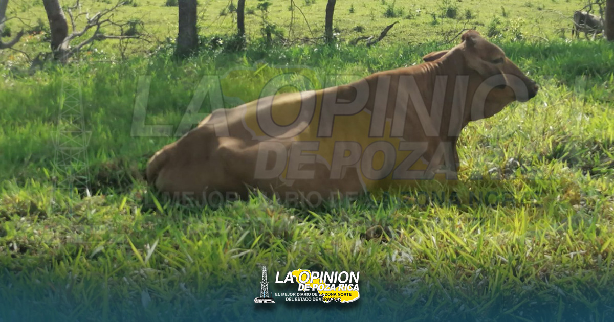 En Cazones el INEGI alista el censo agropecuario 2022 En Cazones el INEGI alista el censo agropecuario 2022