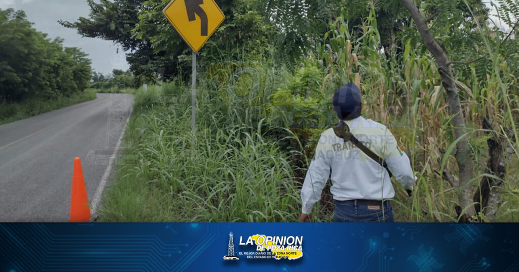 Liberan señalamientos de la maleza en carreteras
