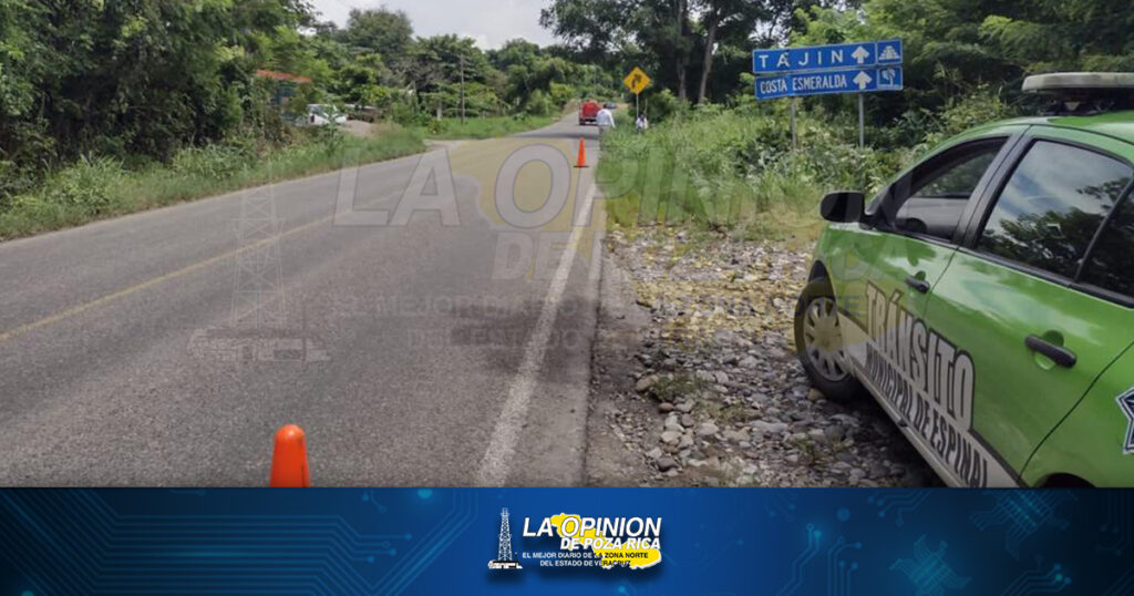 Liberan señalamientos de la maleza en carreteras