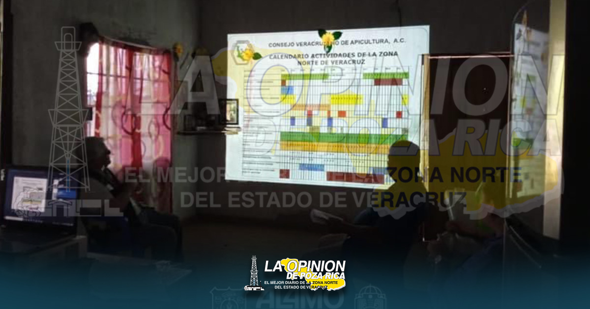 Impulsan sector apícola para aperturar nuevos mercados Impulsan sector apícola para aperturar nuevos mercados