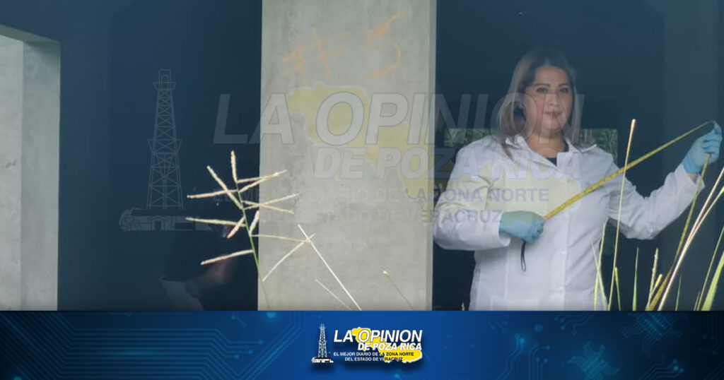 ¡Catean casa y encuentran droga!