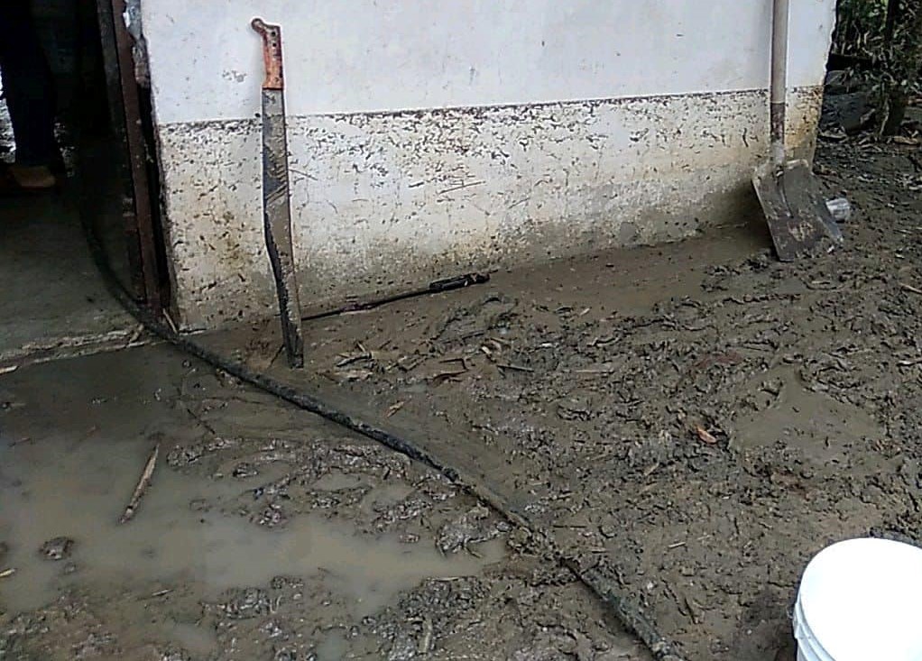 Verifican situación de damnificados