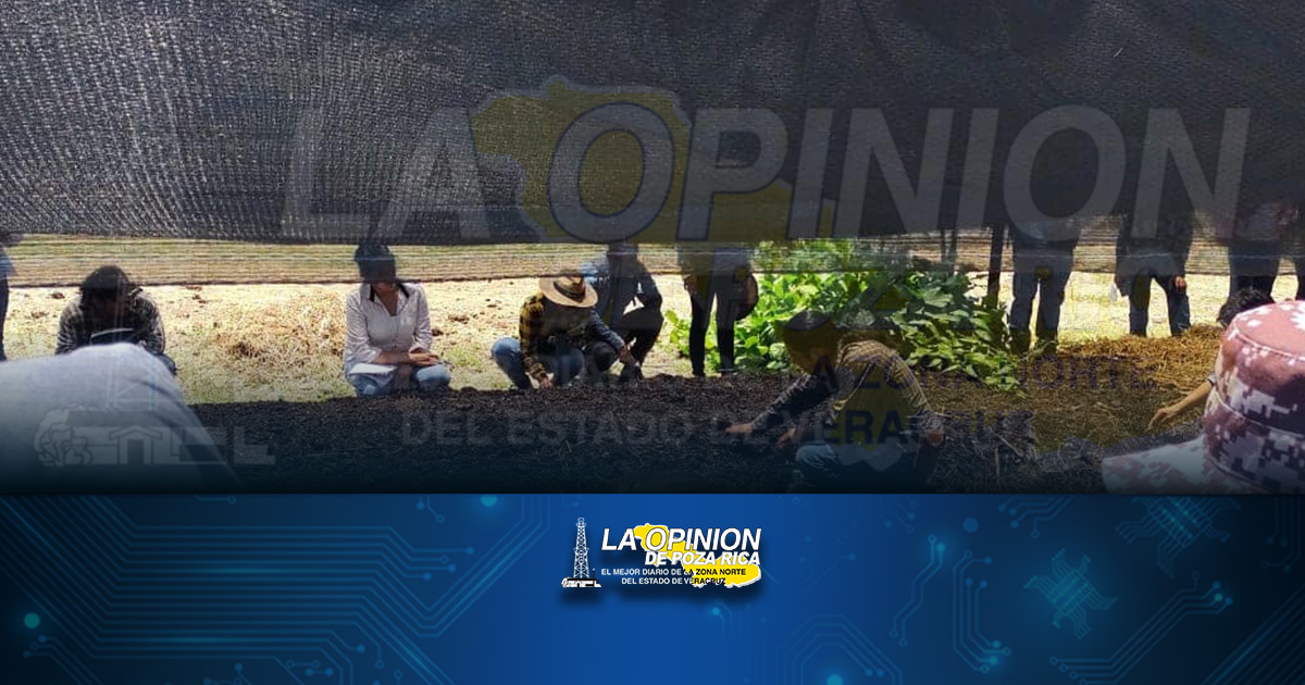 Promueven beneficios de agricultura orgánica
