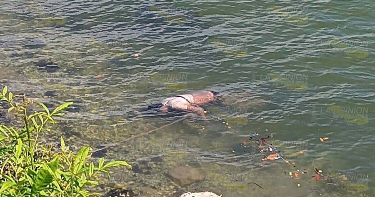 ¡FLOTA CADÁVER EN EL RÍO!