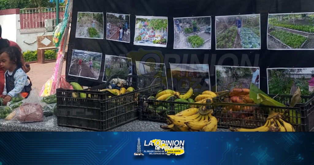 Impulsan la producción agroecológica y orgánica con mercado solidario