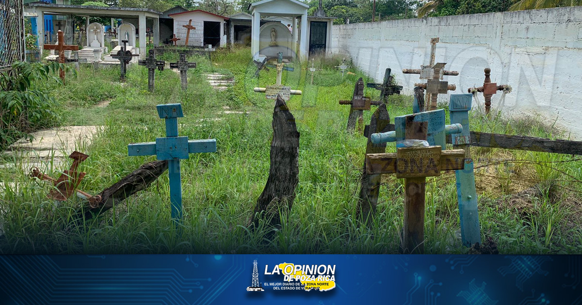 Criptas abandonadas son foco de infección Criptas abandonadas son foco de infección