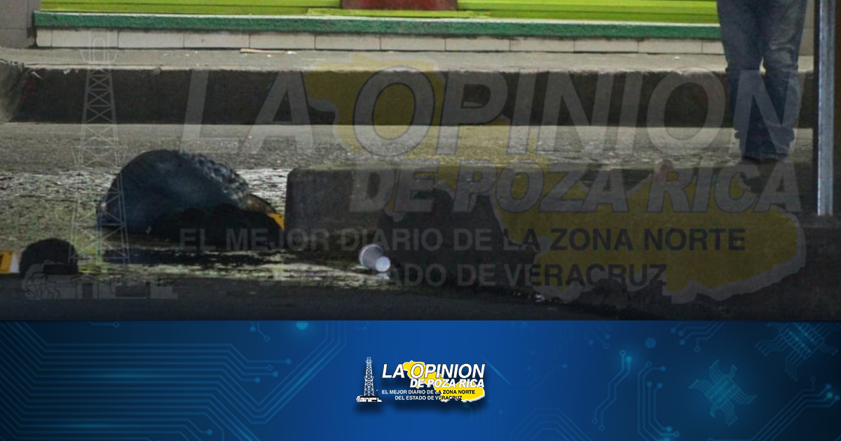 Murió tras ser atropellado en Martinez