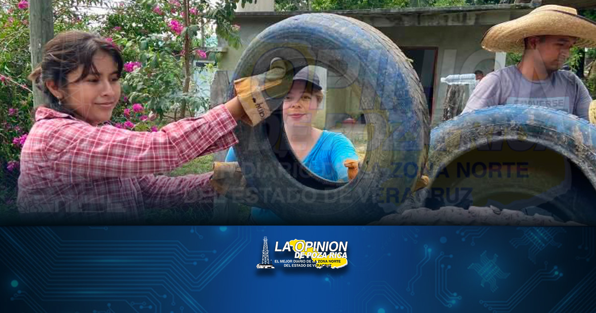 En marcha la jornada de descacharrización