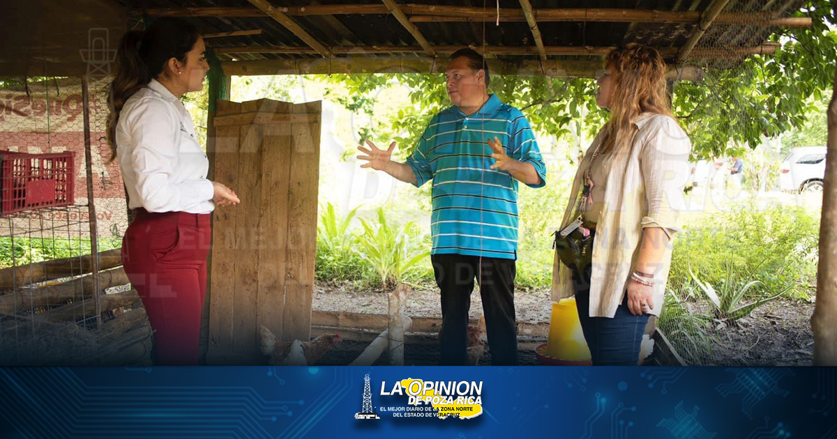 Proyectos productivos caminan con buenos resultados Proyectos productivos caminan con buenos resultados