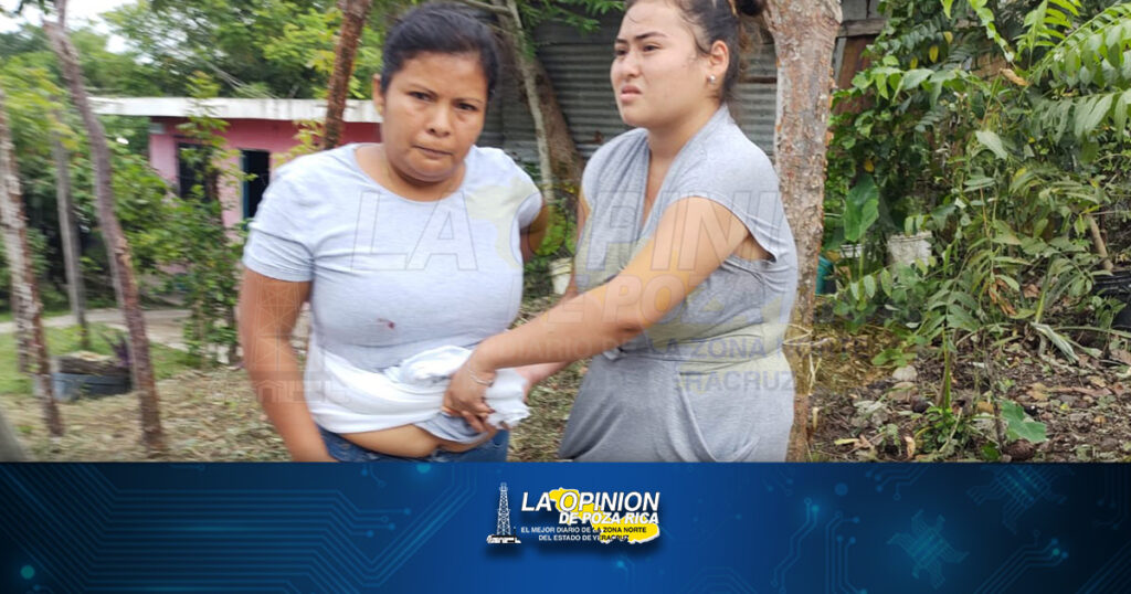¡Intenta matar a sus vecinos!