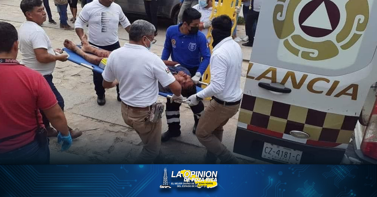 Un pitbull casi le arranca el brazo a un ladrón Un pitbull casi le arranca el brazo a un ladrón