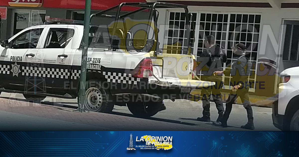 Alertan de ladrones que destazan ganado y se llevan las mejores piezas, en Cazones ladrones destazan ganado y se llevan las piezas