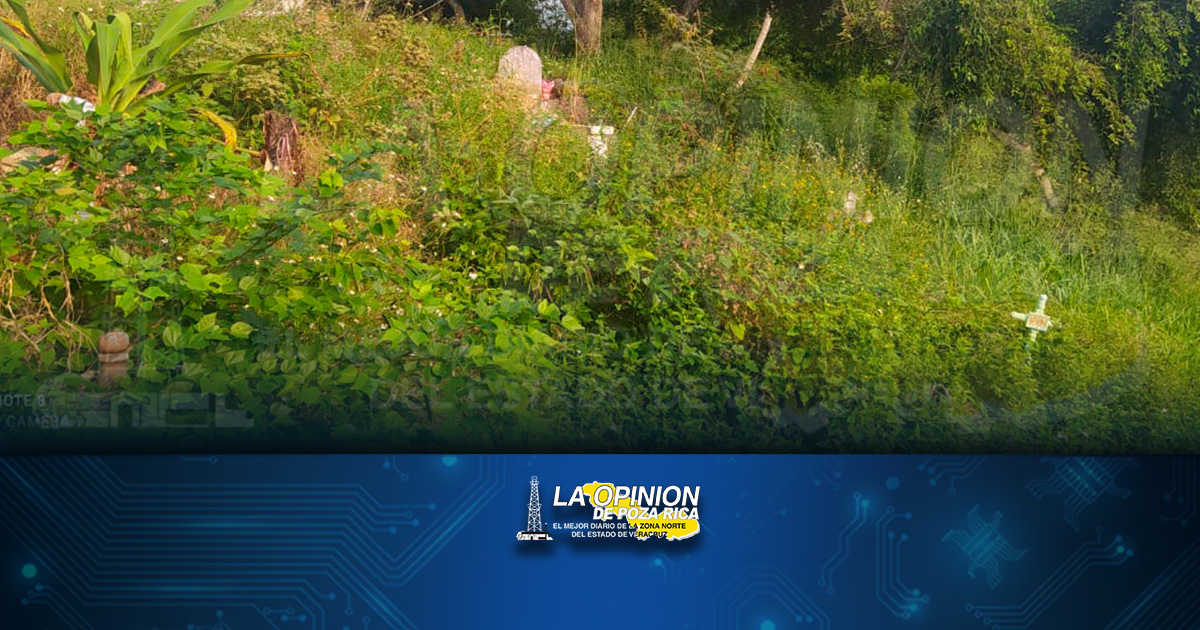 Panteón San Lucas es una jungla previo al Día de los Fieles Difuntos