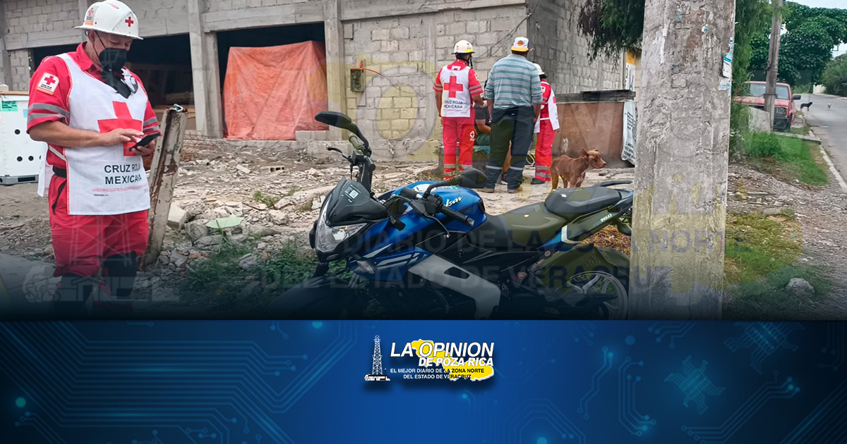 SE ESTRELLA EN UNA CAMIONETA