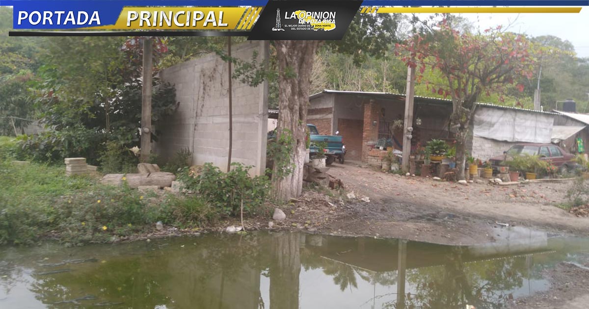 Familias viven entre aguas negras